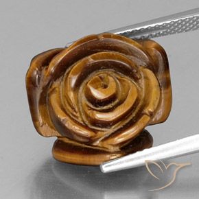 11.38ct طبيعي بني محمر عين النمر, فانسى, غير شفاف