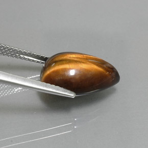 Tiger's Eye طبيعي بلون بني ذهبي، وزن ‎5.67‎ قيراط، شكل شكل الكمثرى، مقاس ‎14.2x10.2‎ مم
