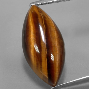 Tiger's Eye طبيعي بلون بني ذهبي، وزن ‎8.51‎ قيراط، شكل ماركيز، مقاس ‎20.3x9.8‎ مم