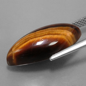 Tiger's Eye طبيعي بلون بني ذهبي، وزن ‎8.51‎ قيراط، شكل ماركيز، مقاس ‎20.3x9.8‎ مم