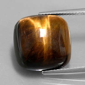 Tiger's Eye طبيعي بلون بني ذهبي، وزن ‎13.38‎ قيراط، شكل قطع وسادة، مقاس ‎15.4x15.3‎ مم