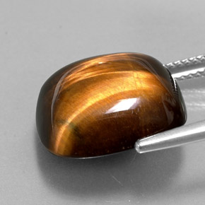 Tiger's Eye طبيعي بلون بني ذهبي، وزن ‎13.38‎ قيراط، شكل قطع وسادة، مقاس ‎15.4x15.3‎ مم