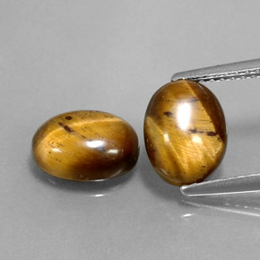 Tiger's Eye طبيعي بلون بني ذهبي، وزن ‎‎ قيراط، شكل بيضاوى، مقاس ‎9x7.1‎ مم