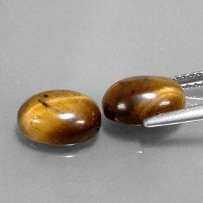 Tiger's Eye طبيعي بلون بني ذهبي، وزن ‎‎ قيراط، شكل بيضاوى، مقاس ‎9x7.1‎ مم