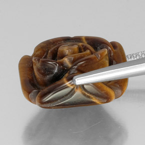 عين النمر ذهب البنى طبيعي، شكل خيالي، 12.46 قيراط، غير شفاف