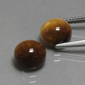 Tiger's Eye طبيعي بلون بني ذهبي، وزن ‎‎ قيراط، شكل دائري، مقاس ‎7.98‎ مم