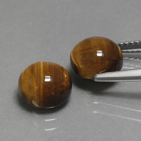 Tiger's Eye طبيعي بلون بني ذهبي، وزن ‎‎ قيراط، شكل دائري، مقاس ‎8.00‎ مم