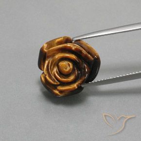 12.62ct طبيعي بنى دافئ عين النمر, فانسى, غير شفاف, Photo A