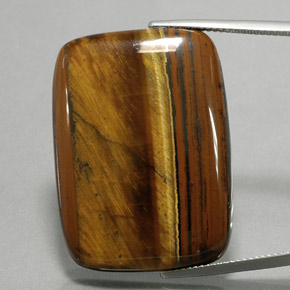 عين النمر ذهب البنى طبيعي، قطع وسادة، 47.03 قيراط، غير شفاف