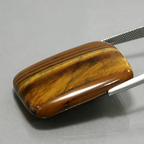 عين النمر ذهب البنى طبيعي، قطع وسادة، 47.03 قيراط، غير شفاف