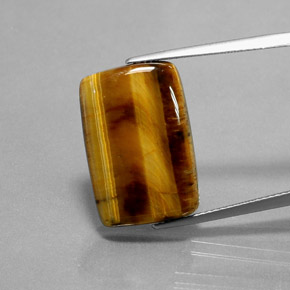 Tiger's Eye طبيعي بلون بني ذهبي، وزن ‎13.18‎ قيراط، شكل باغيت، مقاس ‎20.6x13.9‎ مم