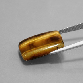 Tiger's Eye طبيعي بلون بني ذهبي، وزن ‎13.18‎ قيراط، شكل باغيت، مقاس ‎20.6x13.9‎ مم