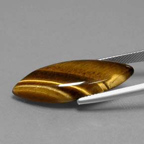 Tiger's Eye طبيعي بلون بني ذهبي، وزن ‎16.23‎ قيراط، شكل ماركيز، مقاس ‎31.4x11.8‎ مم