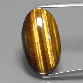 Tiger's Eye طبيعي بلون بني ذهبي، وزن ‎19.73‎ قيراط، شكل بيضاوى، مقاس ‎23.7x13.6‎ مم