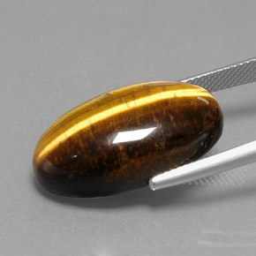 Tiger's Eye طبيعي بلون بني ذهبي، وزن ‎19.73‎ قيراط، شكل بيضاوى، مقاس ‎23.7x13.6‎ مم