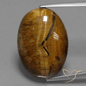 25.02ct طبيعي بنى دافئ عين النمر, بيضوي, غير شفاف