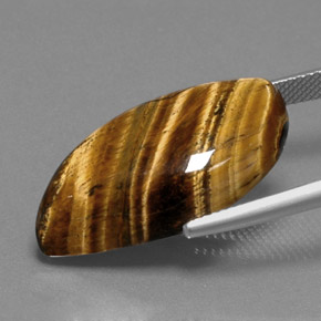 عين النمر ذهب البنى طبيعي، شكل خيالي، 18.41 قيراط، غير شفاف