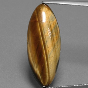 Tiger's Eye طبيعي بلون بني ذهبي، وزن ‎14.53‎ قيراط، شكل ماركيز، مقاس ‎27.3x11‎ مم