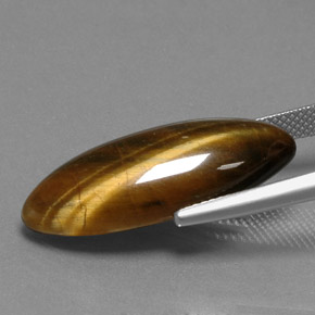 Tiger's Eye طبيعي بلون بني ذهبي، وزن ‎14.53‎ قيراط، شكل ماركيز، مقاس ‎27.3x11‎ مم