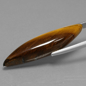 عين النمر ذهب البنى طبيعي، شكل خيالي، 20.07 قيراط، غير شفاف