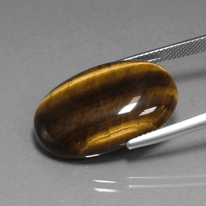 Tiger's Eye طبيعي بلون بني ذهبي، وزن ‎20.40‎ قيراط، شكل بيضاوى، مقاس ‎24.7x16.7‎ مم