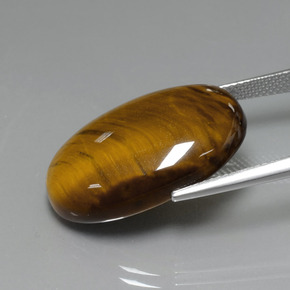 Tiger's Eye طبيعي بلون بني ذهبي، وزن ‎19.99‎ قيراط، شكل بيضاوى، مقاس ‎24.6x16.5‎ مم