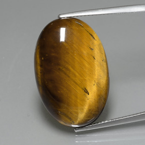 Tiger's Eye طبيعي بلون بني ذهبي، وزن ‎19.59‎ قيراط، شكل بيضاوى، مقاس ‎24.7x16.6‎ مم