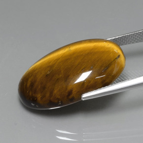 Tiger's Eye طبيعي بلون بني ذهبي، وزن ‎19.59‎ قيراط، شكل بيضاوى، مقاس ‎24.7x16.6‎ مم