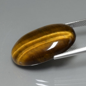 Tiger's Eye طبيعي بلون بني ذهبي، وزن ‎20.01‎ قيراط، شكل بيضاوى، مقاس ‎24.8x16.6‎ مم