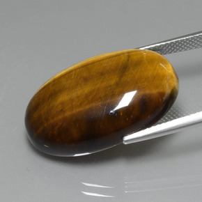Tiger's Eye طبيعي بلون بني ذهبي، وزن ‎20.74‎ قيراط، شكل بيضاوى، مقاس ‎24.8x16.6‎ مم