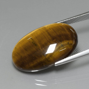 Tiger's Eye طبيعي بلون بنى فاتح-متوسط، وزن ‎19.40‎ قيراط، شكل بيضاوى، مقاس ‎24.7x16.6‎ مم