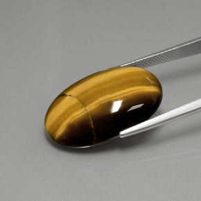 عين النمر بنى دافئ طبيعي، قصة بيضاوى، 18.94 قيراط، غير شفاف