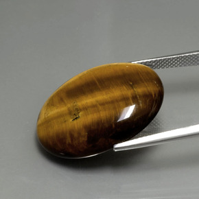 Tiger's Eye طبيعي بلون بني ذهبي، وزن ‎22.43‎ قيراط، شكل بيضاوى، مقاس ‎25.2x20.3‎ مم