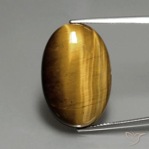 19.66ct طبيعي بني ذهبي عين النمر, بيضوي, غير شفاف