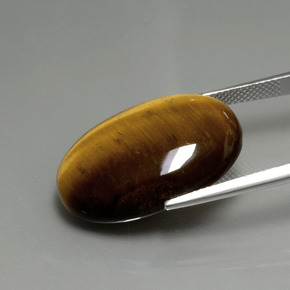 Tiger's Eye طبيعي بلون بني ذهبي، وزن ‎20.21‎ قيراط، شكل بيضاوى، مقاس ‎24.7x16.7‎ مم