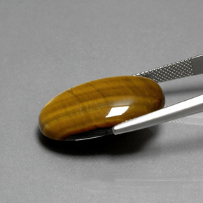 Tiger's Eye طبيعي بلون بني ذهبي، وزن ‎19.87‎ قيراط، شكل بيضاوى، مقاس ‎24.7x16.6‎ مم