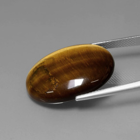 Tiger's Eye طبيعي بلون بني ذهبي، وزن ‎22.74‎ قيراط، شكل بيضاوى، مقاس ‎25.3x20.2‎ مم