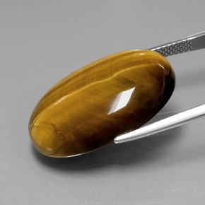 Tiger's Eye طبيعي بلون بني ذهبي، وزن ‎20.54‎ قيراط، شكل بيضاوى، مقاس ‎24.7x16.6‎ مم