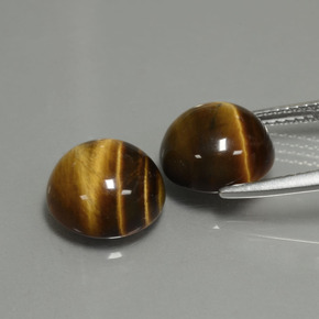 Tiger's Eye طبيعي بلون بني ذهبي، وزن ‎‎ قيراط، شكل دائري، مقاس ‎10.14‎ مم