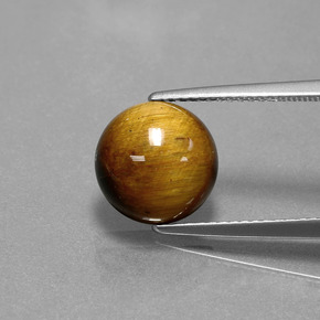 Tiger's Eye طبيعي بلون بني ذهبي، وزن ‎3.46‎ قيراط، شكل دائري، مقاس ‎10.03‎ مم