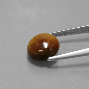 Tiger's Eye طبيعي بلون بني ذهبي، وزن ‎3.46‎ قيراط، شكل دائري، مقاس ‎10.03‎ مم
