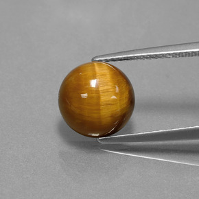 Tiger's Eye طبيعي بلون بني ذهبي، وزن ‎3.69‎ قيراط، شكل دائري، مقاس ‎10.06‎ مم