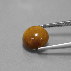 Tiger's Eye طبيعي بلون بني ذهبي، وزن ‎3.69‎ قيراط، شكل دائري، مقاس ‎10.06‎ مم