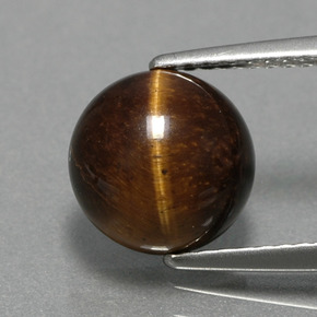 Tiger's Eye طبيعي بلون بني ذهبي، وزن ‎2.79‎ قيراط، شكل دائري، مقاس ‎9.05‎ مم