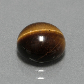 Tiger's Eye طبيعي بلون بني ذهبي، وزن ‎2.79‎ قيراط، شكل دائري، مقاس ‎9.05‎ مم