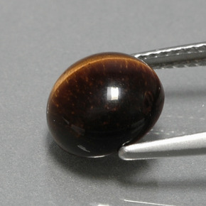 Tiger's Eye طبيعي بلون بني ذهبي، وزن ‎2.79‎ قيراط، شكل دائري، مقاس ‎9.05‎ مم