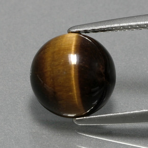 Tiger's Eye طبيعي بلون بني ذهبي، وزن ‎2.78‎ قيراط، شكل دائري، مقاس ‎9.07‎ مم