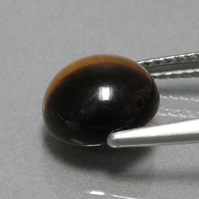 Tiger's Eye طبيعي بلون بني ذهبي، وزن ‎2.78‎ قيراط، شكل دائري، مقاس ‎9.07‎ مم