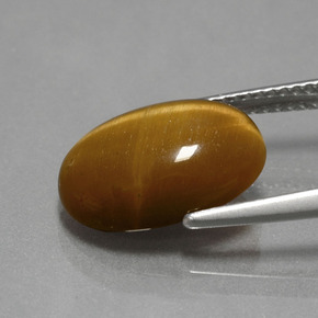 Tiger's Eye طبيعي بلون بني ذهبي، وزن ‎4.49‎ قيراط، شكل بيضاوى، مقاس ‎14x10‎ مم