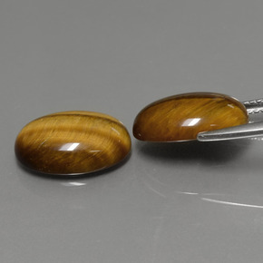 Tiger's Eye طبيعي بلون بني ذهبي، وزن ‎‎ قيراط، شكل بيضاوى، مقاس ‎14x10‎ مم